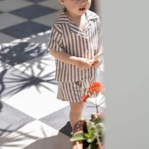 CAMISA VERANO - RAYADO MARRÓN